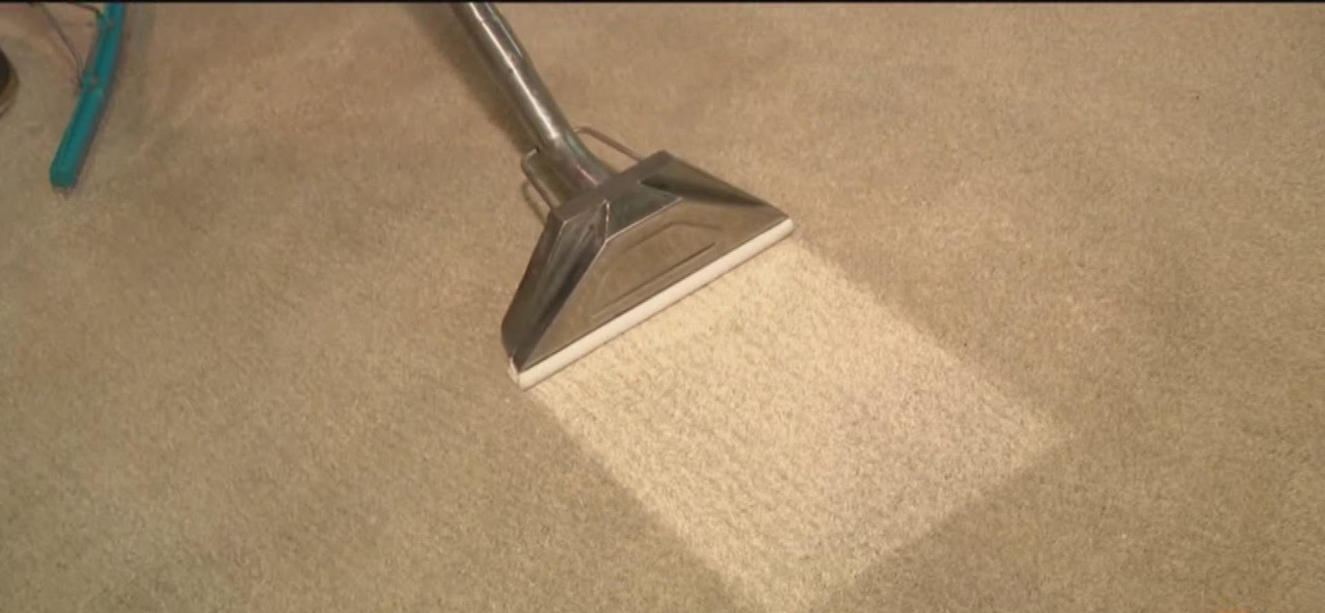 carpet cleaning solution argos